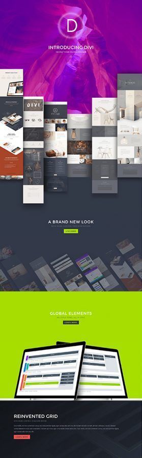 divi builder
